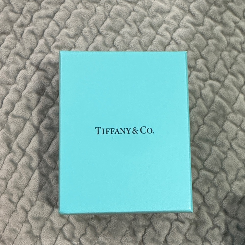Tiffany & Co. Turquoise Gift Box